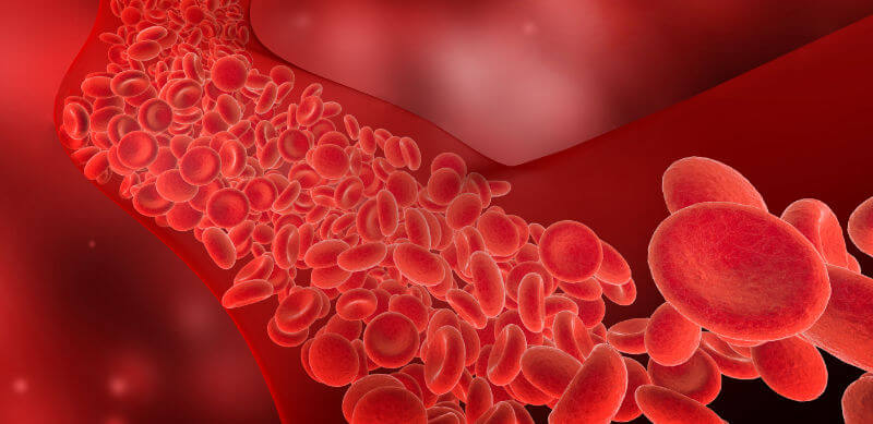 Blood Clot / Thrombophlebitis Treatment in Hawaii leg vein diagram 